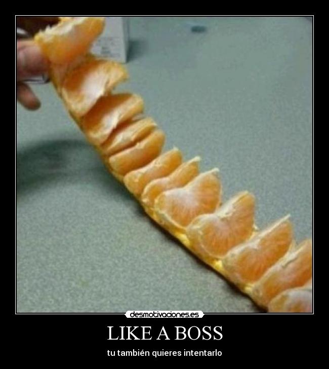 LIKE A BOSS -
