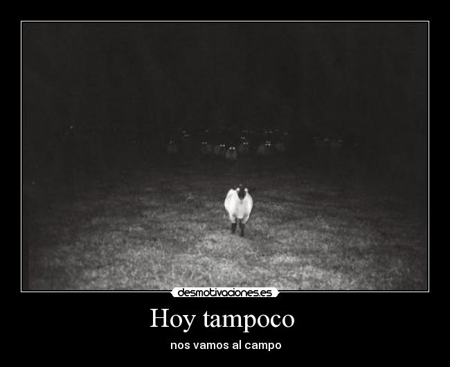Hoy tampoco  - 