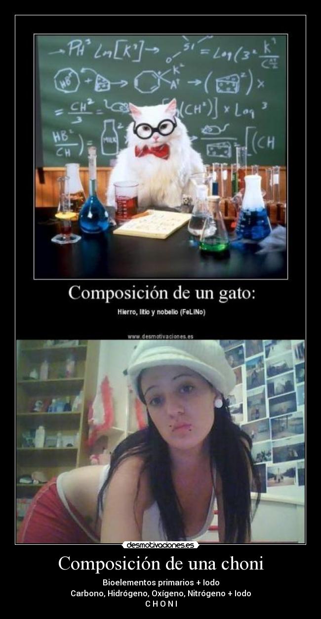 carteles choni desmotivaciones