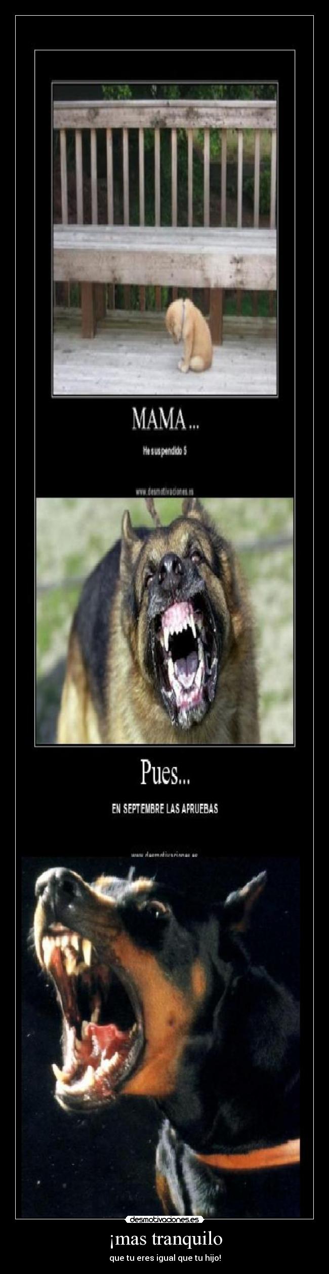 carteles ingrid96 sbe fastopes esperandolamuerte alexia cjsa traka tra lp1996 diiru desmotivaciones