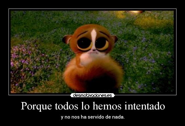 Porque todos lo hemos intentado - 