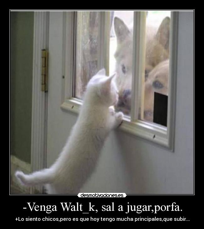 -Venga Walt_k, sal a jugar,porfa. -