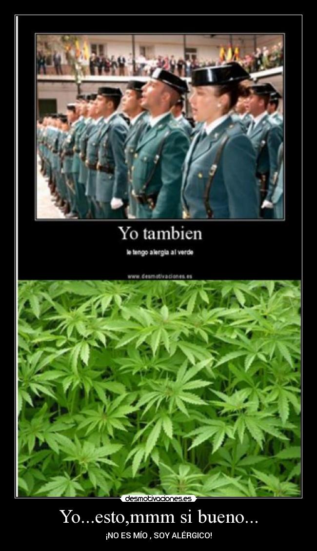 Yo...esto,mmm si bueno... - ¡NO ES MÍO , SOY ALÉRGICO!