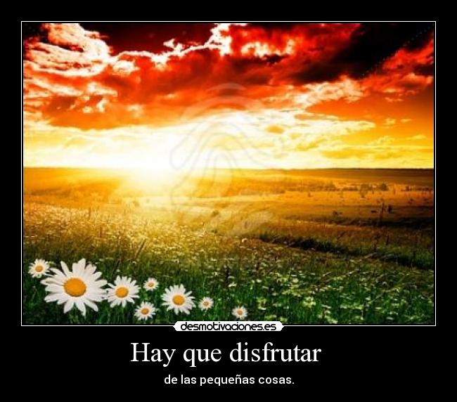 Hay que disfrutar - de las pequeñas cosas.