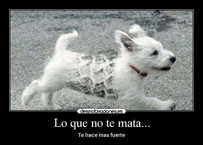 carteles 98765678 desmotivaciones