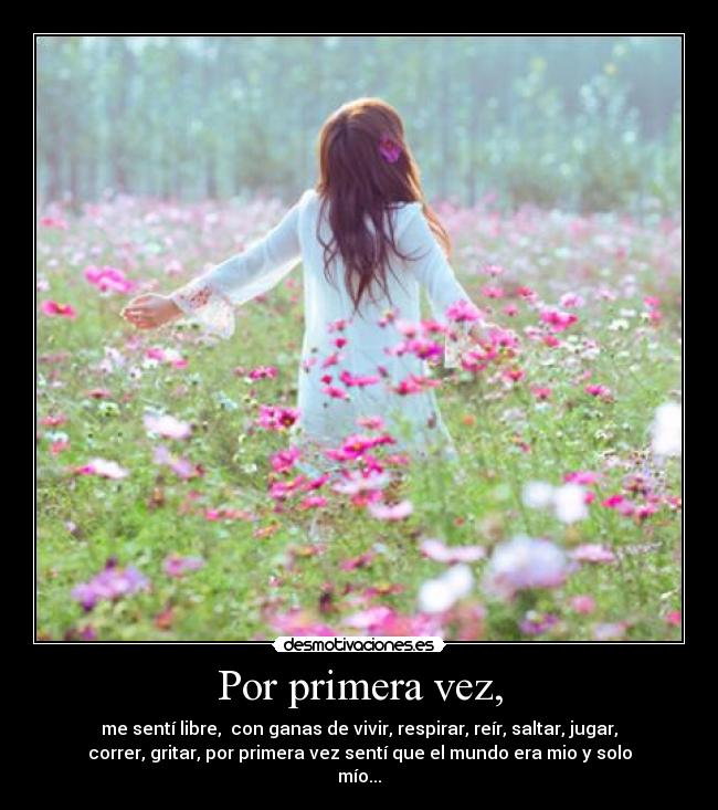 carteles libertad desmotivaciones