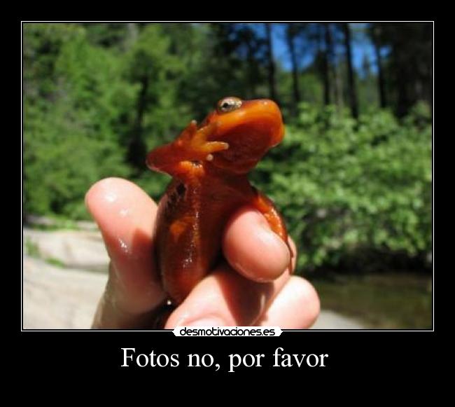 Fotos no, por favor  - 