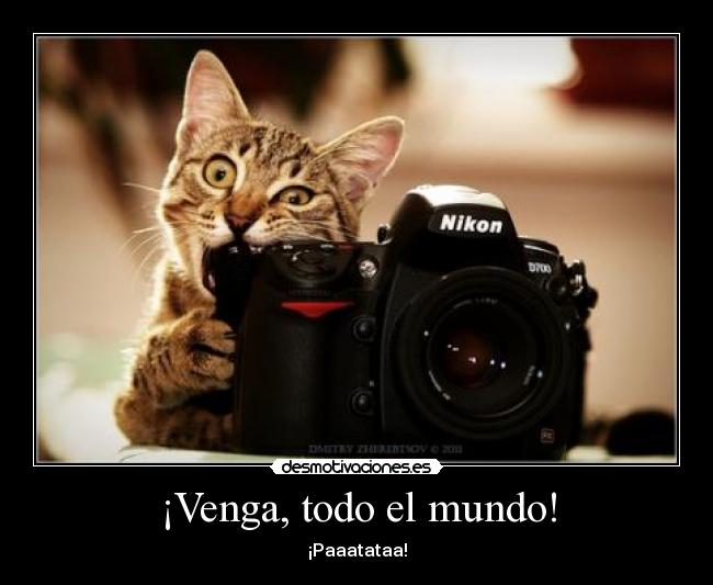 ¡Venga, todo el mundo! - ¡Paaatataa!