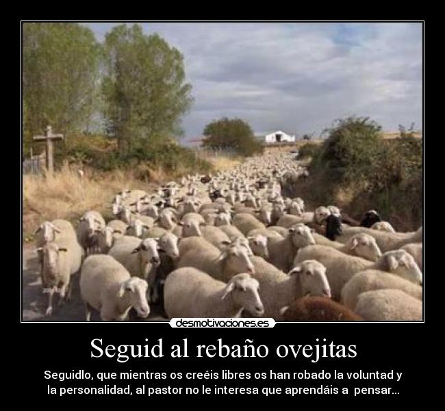 Seguid al rebaño ovejitas - Seguidlo, que mientras os creéis libres os han robado la voluntad y
la personalidad, al pastor no le interesa que aprendáis a pensar...
