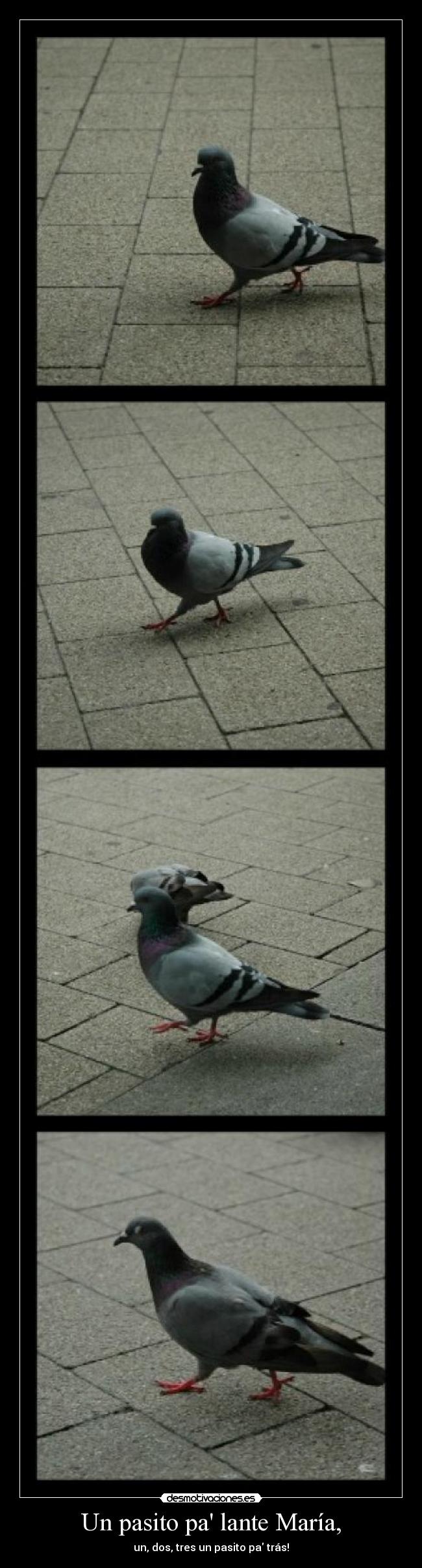Un pasito pa lante María, - 