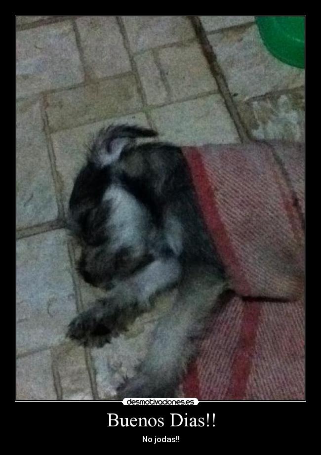 carteles dias desmotivaciones