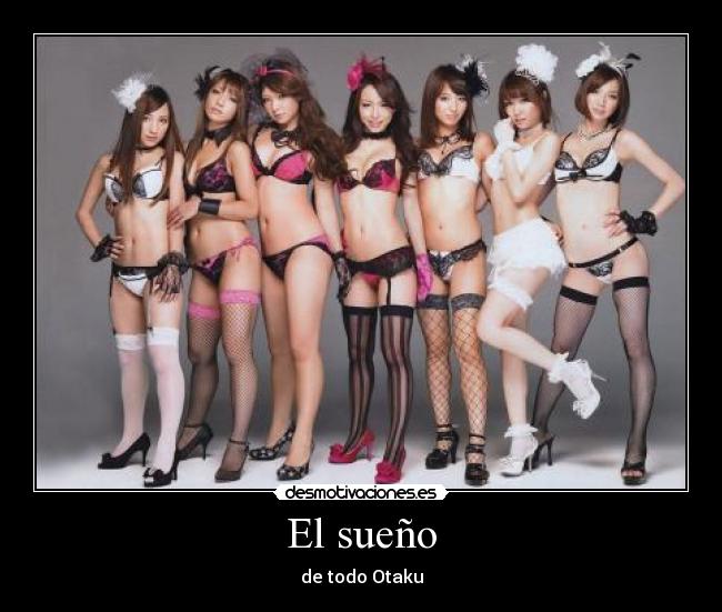 El sueño - de todo Otaku