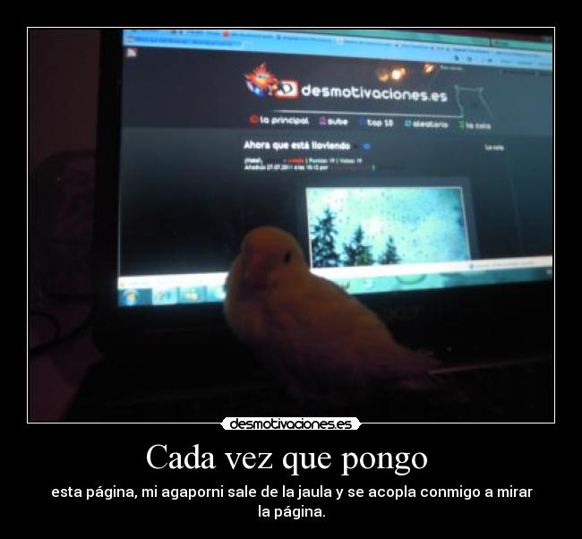 Cada vez que pongo -