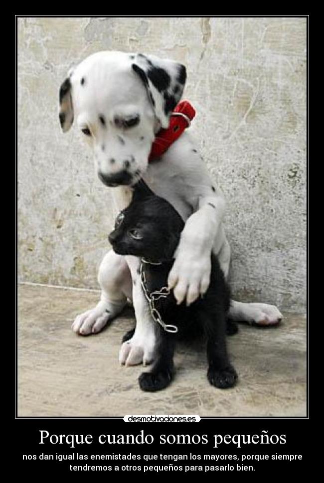 carteles gatosperro desmotivaciones