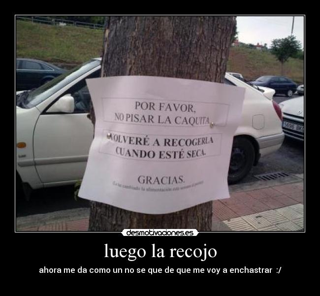luego la recojo -