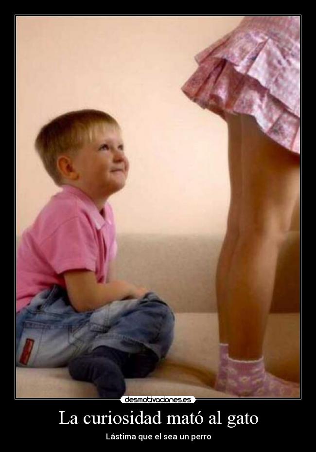 La curiosidad mató al gato -
