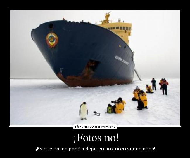 ¡Fotos no! - 