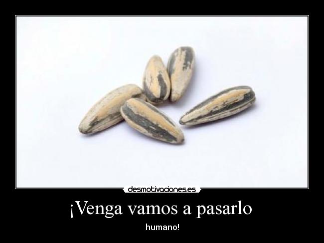 ¡Venga vamos a pasarlo  - 