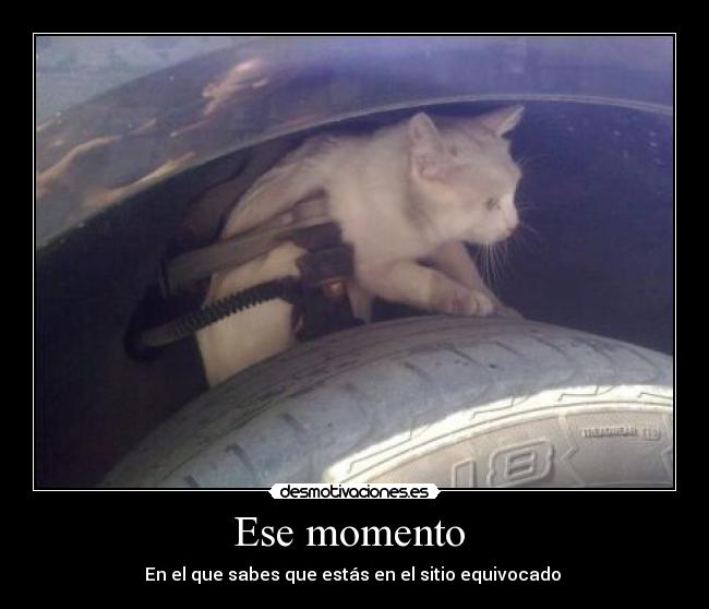 Ese momento -