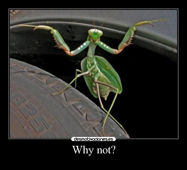 Why not? - 