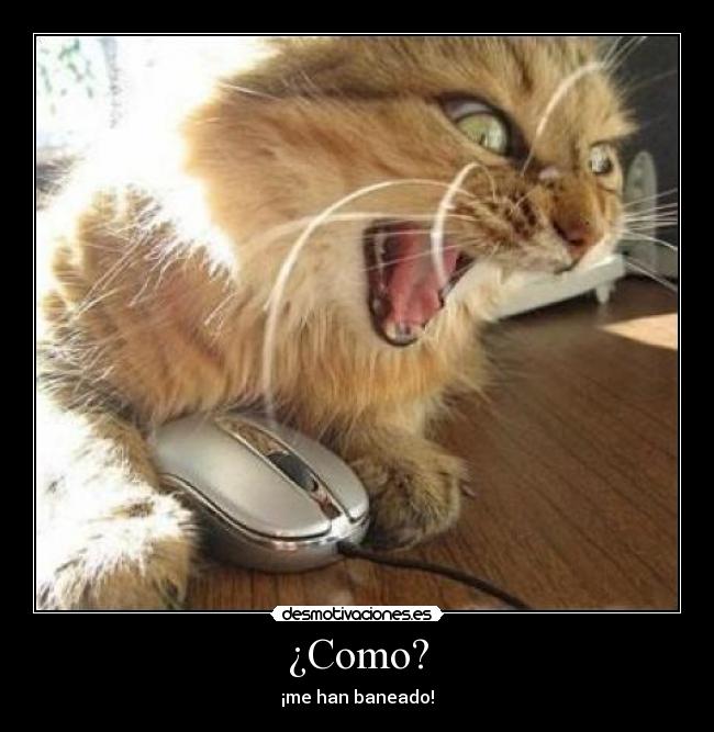 ¿Como? -