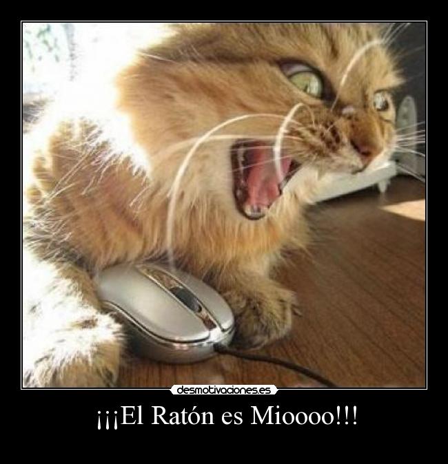¡¡¡El Ratón es Mioooo!!! - 