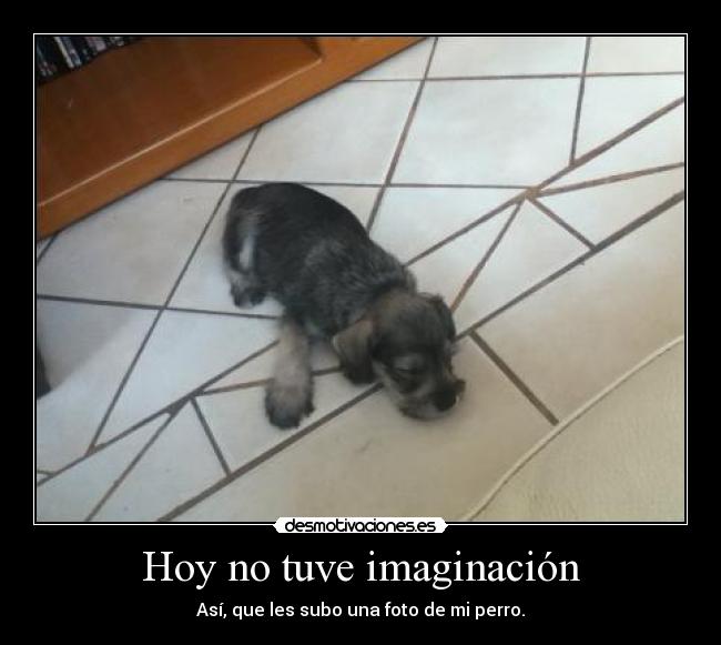 Hoy no tuve imaginación -