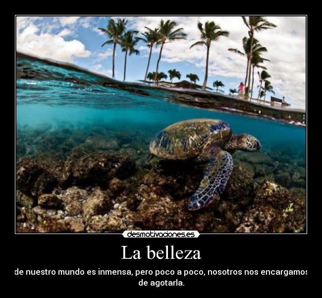 La belleza - de nuestro mundo es inmensa, pero poco a poco, nosotros nos encargamos
de agotarla.