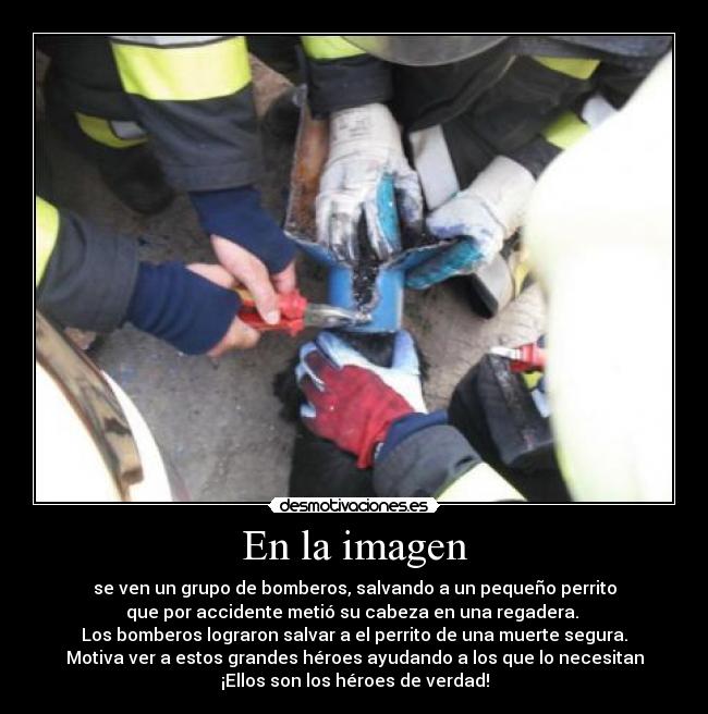 En la imagen - se ven un grupo de bomberos, salvando a un pequeño perrito
que por accidente metió su cabeza en una regadera. 
Los bomberos lograron salvar a el perrito de una muerte segura.
Motiva ver a estos grandes héroes ayudando a los que lo necesitan
¡Ellos son los héroes de verdad!