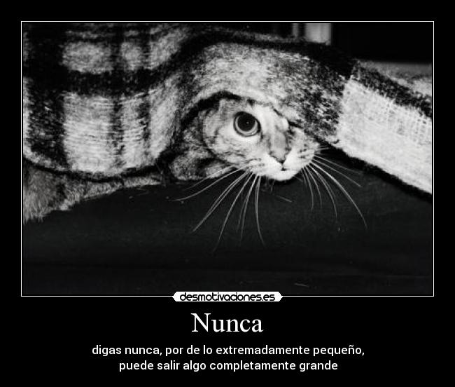 Nunca - 