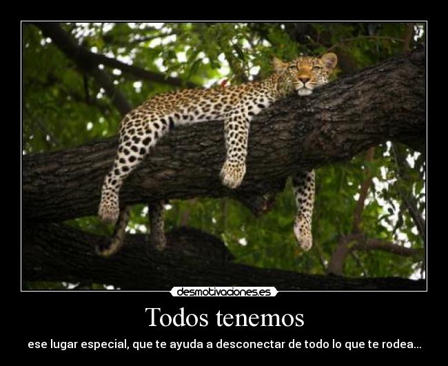 Todos tenemos - ese lugar especial, que te ayuda a desconectar de todo lo que te rodea...