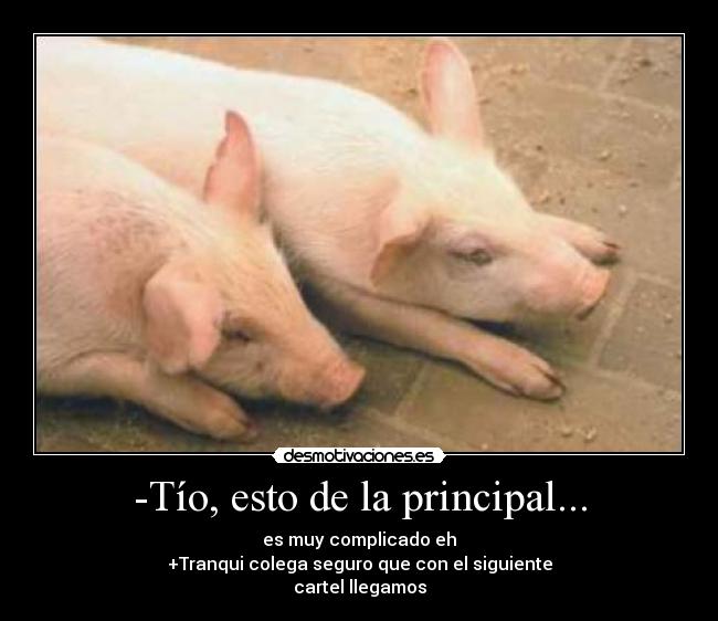 -Tío, esto de la principal... - 