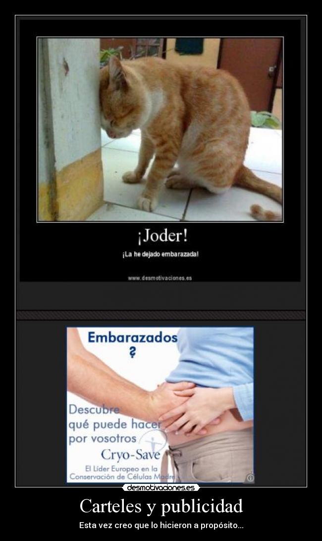 Carteles y publicidad - Esta vez creo que lo hicieron a propósito...