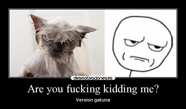 Are you fucking kidding me? - 
