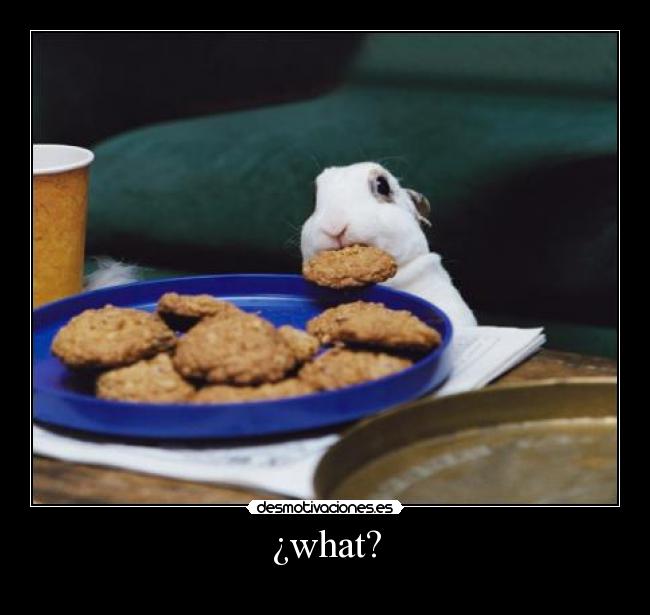 ¿what? -