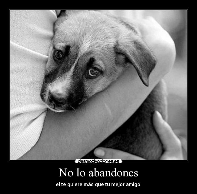 No lo abandones - el te quiere más que tu mejor amigo 