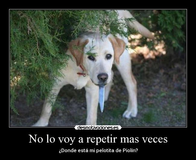 No lo voy a repetir mas veces - 