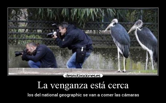 carteles caso pareceria gracioso que sacaran fotos follando desmotivaciones