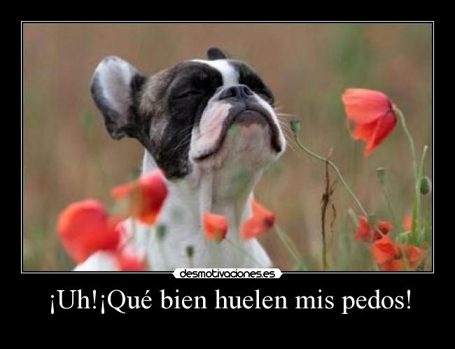 carteles xddddddddd desmotivaciones