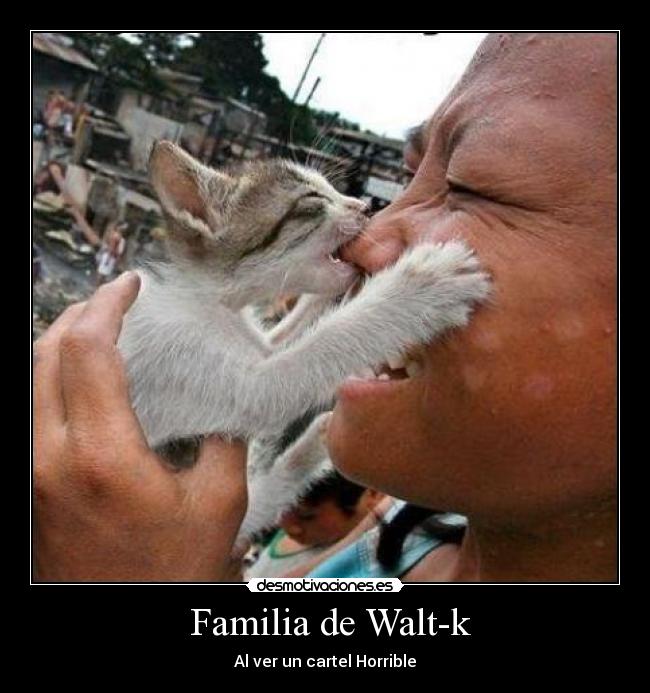  Familia de Walt-k - 