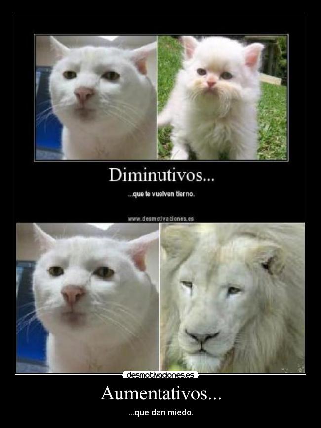 Aumentativos... - ...que dan miedo.