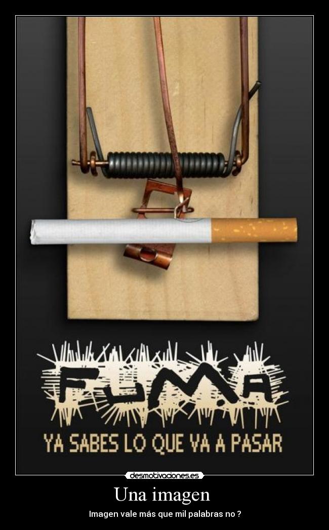 Una imagen - Imagen vale más que mil palabras no ?