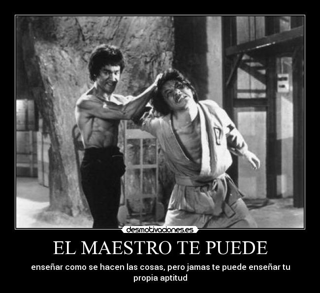 EL MAESTRO TE PUEDE - 