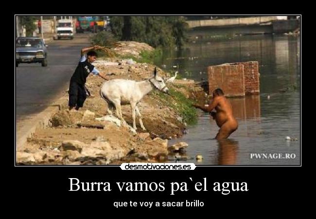 Burra vamos pa`el agua - 