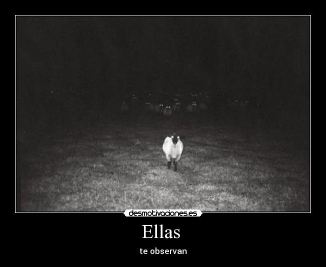 Ellas  - te observan