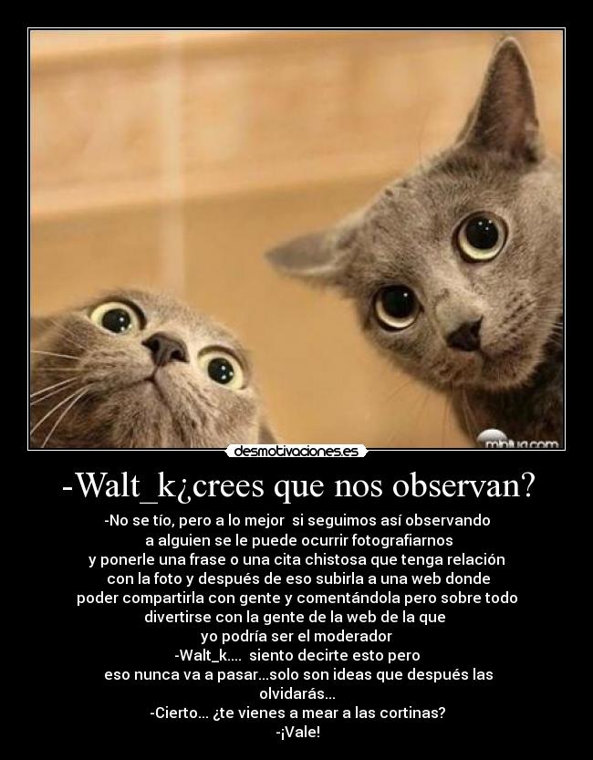 -Walt_k¿crees que nos observan? - -No se tío, pero a lo mejor  si seguimos así observando
 a alguien se le puede ocurrir fotografiarnos
y ponerle una frase o una cita chistosa que tenga relación
 con la foto y después de eso subirla a una web donde
poder compartirla con gente y comentándola pero sobre todo
divertirse con la gente de la web de la que 
yo podría ser el moderador
-Walt_k....  siento decirte esto pero
 eso nunca va a pasar...solo son ideas que después las
olvidarás...
-Cierto... ¿te vienes a mear a las cortinas?
-¡Vale!