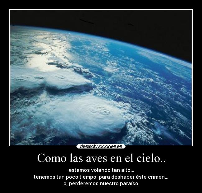 Como las aves en el cielo.. - 