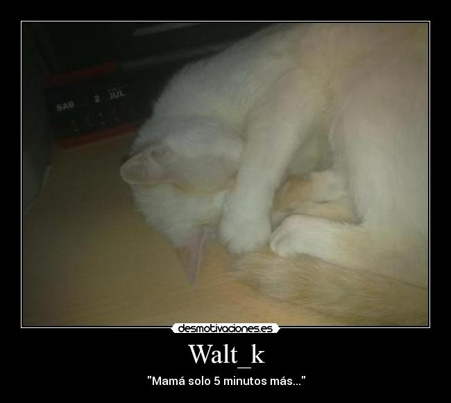 Walt_k - 