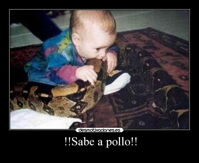 !!Sabe a pollo!! - 