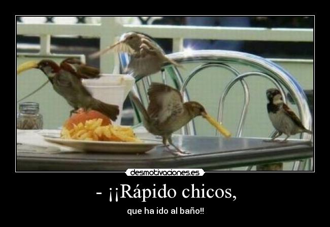 - ¡¡Rápido chicos, -